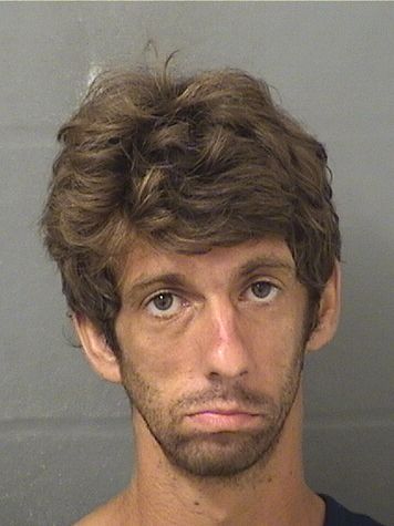  DANIEL LOUIS GROSSBERG Results from Palm Beach County Florida for  DANIEL LOUIS GROSSBERG