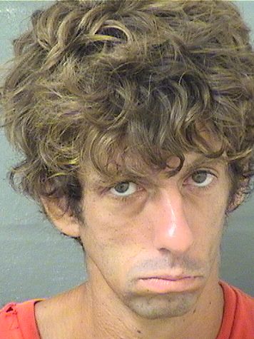  DANIEL L GROSSBERG Results from Palm Beach County Florida for  DANIEL L GROSSBERG