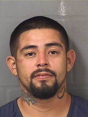  ALEJANDRO MEDINASANCHEZ Results from Palm Beach County Florida for  ALEJANDRO MEDINASANCHEZ