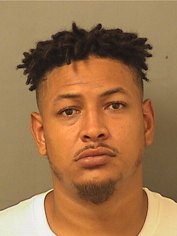  GRIFFIN CARLOS PERALTA Results from Palm Beach County Florida for  GRIFFIN CARLOS PERALTA