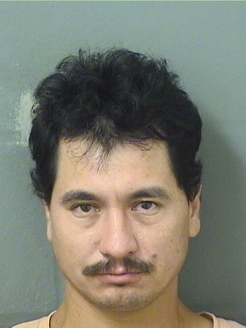  HECTOR EFRAIN LOPEZGUTIERREZ Results from Palm Beach County Florida for  HECTOR EFRAIN LOPEZGUTIERREZ