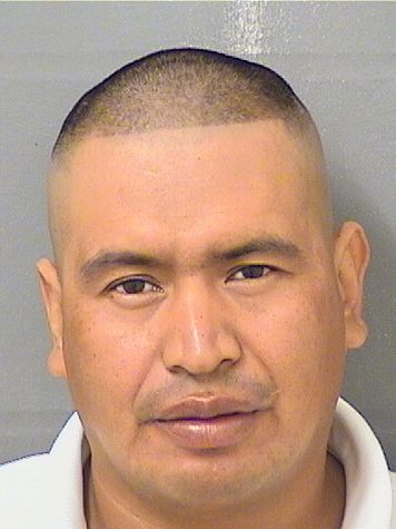  CELESTINO CLIMACO HERNANDEZ CHAJ Results from Palm Beach County Florida for  CELESTINO CLIMACO HERNANDEZ CHAJ