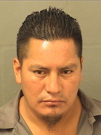  JUAN EDGAR ABACLOPEZ Results from Palm Beach County Florida for  JUAN EDGAR ABACLOPEZ