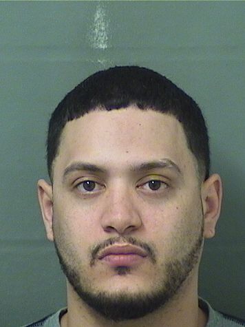  JOHNATHAN RAMIREZ Results from Palm Beach County Florida for  JOHNATHAN RAMIREZ