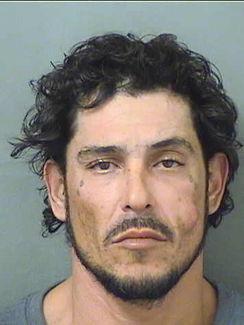  CARLOS SAMID MARTIMORALES Results from Palm Beach County Florida for  CARLOS SAMID MARTIMORALES