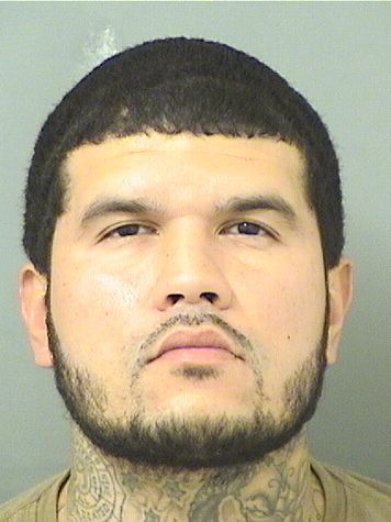  MICHAEL C SANTIAGO Results from Palm Beach County Florida for  MICHAEL C SANTIAGO