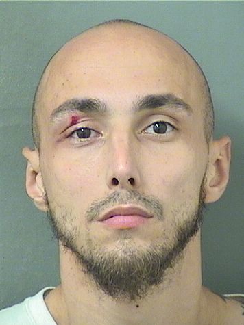  JOHN MICHAEL WILLIAMS Results from Palm Beach County Florida for  JOHN MICHAEL WILLIAMS