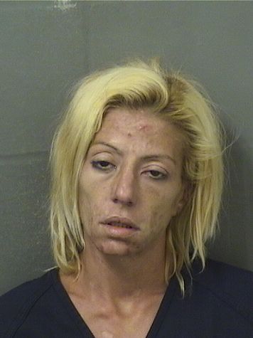  NOELLE MARGARET DANDRADE Results from Palm Beach County Florida for  NOELLE MARGARET DANDRADE