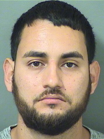  ANDRE ESTEVAN ARELLANO Results from Palm Beach County Florida for  ANDRE ESTEVAN ARELLANO