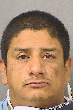  FRANCISCO JAVIER QUIJAS JIMENEZ Photo