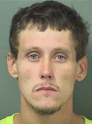  MARK J DOBBINS Results from Palm Beach County Florida for  MARK J DOBBINS