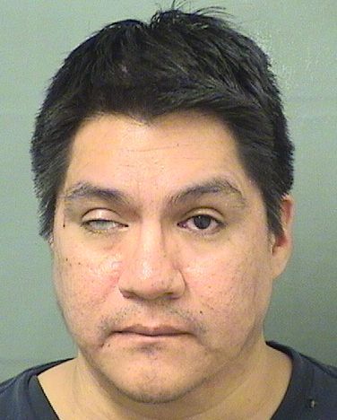  WILLIAM HENRY SILVERSMITHKLINKER Results from Palm Beach County Florida for  WILLIAM HENRY SILVERSMITHKLINKER