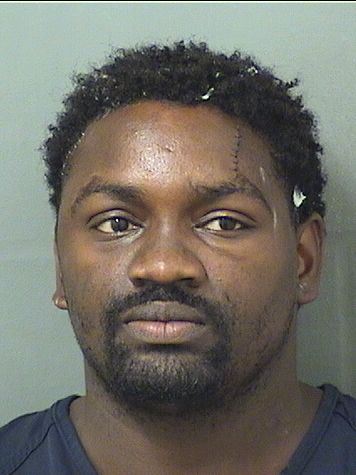  GREGORY NARCISSE Results from Palm Beach County Florida for  GREGORY NARCISSE