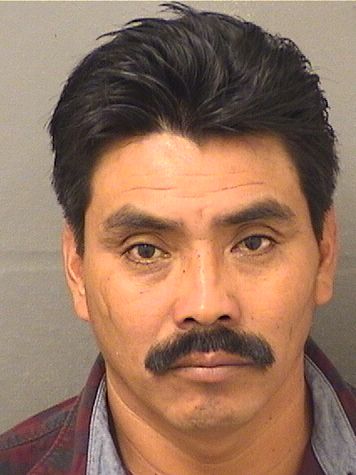  FEDERICO MIGUELBALTAZAR Results from Palm Beach County Florida for  FEDERICO MIGUELBALTAZAR