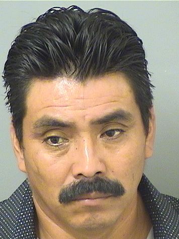 FEDERICO MIGUEL BALTAZAR Photos For  FEDERICO MIGUEL BALTAZAR  FEDERICO MIGUEL BALTAZAR Photo For  FEDERICO MIGUEL BALTAZAR