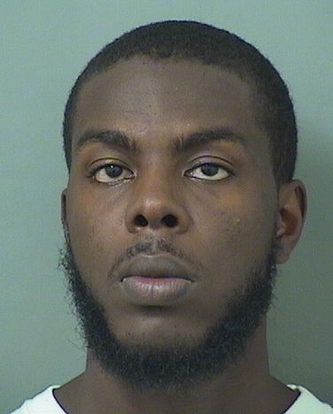  TERRENCE BERNARD Jr TURNER Results from Palm Beach County Florida for  TERRENCE BERNARD Jr TURNER