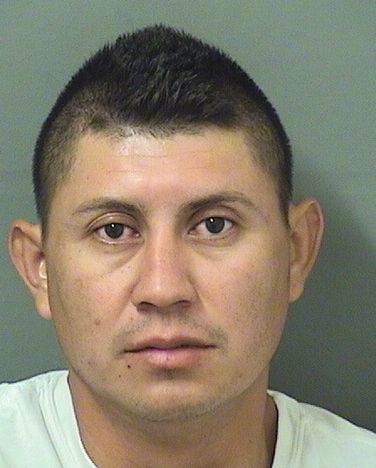  ROBERTO A REYES Resultados de la busqueda para Palm Beach County Florida para  ROBERTO A REYES