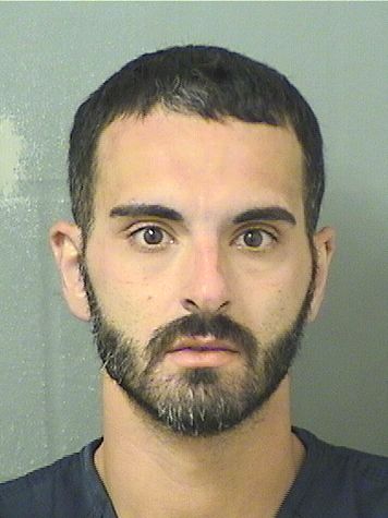  JOHN MICHAEL GROSSMAN Results from Palm Beach County Florida for  JOHN MICHAEL GROSSMAN