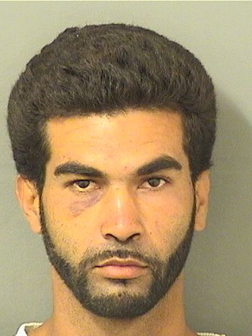  LAZARO THOMAS PARDEDS Resultados de la busqueda para Palm Beach County Florida para  LAZARO THOMAS PARDEDS