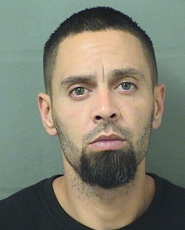  JONATHAN LEE BERRIOS Results from Palm Beach County Florida for  JONATHAN LEE BERRIOS