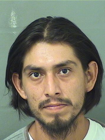  DANIEL PEREZGARCIA Resultados de la busqueda para Palm Beach County Florida para  DANIEL PEREZGARCIA