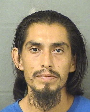  DANIEL PEREZGARCIA Resultados de la busqueda para Palm Beach County Florida para  DANIEL PEREZGARCIA