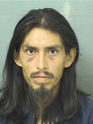  DANIEL PEREZGARCIA Results from Palm Beach County Florida for  DANIEL PEREZGARCIA