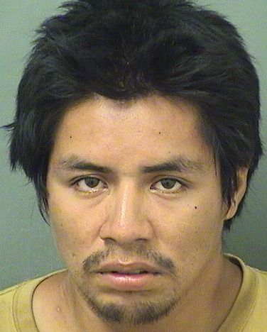 ELIAS PEDRO Results from Palm Beach County Florida for ELIAS PEDRO ELIAS PEDRO Results from Palm Beach County Florida for ELIAS PEDRO