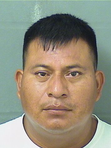  ARMANDO ORTIZDIAZ Resultados de la busqueda para Palm Beach County Florida para  ARMANDO ORTIZDIAZ