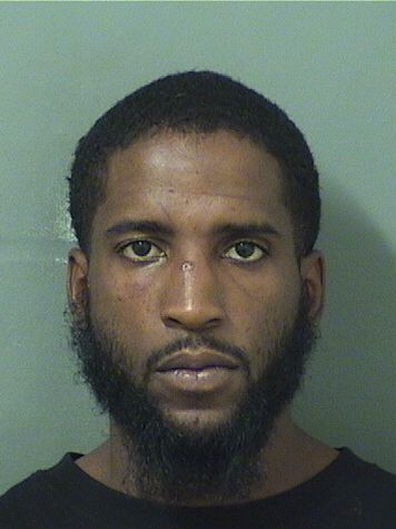  DONELLE DELVON JOHNSON Results from Palm Beach County Florida for  DONELLE DELVON JOHNSON