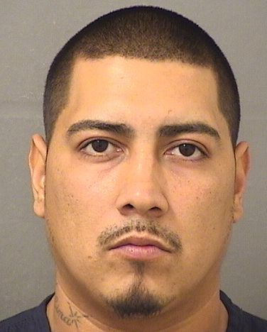  ALEJANDRO GARCIA Results from Palm Beach County Florida for  ALEJANDRO GARCIA