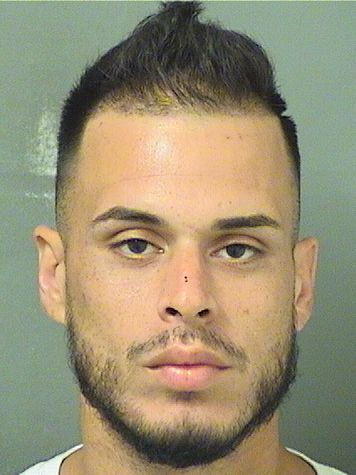  GIOVANNI G VENTURA Resultados de la busqueda para Palm Beach County Florida para  GIOVANNI G VENTURA