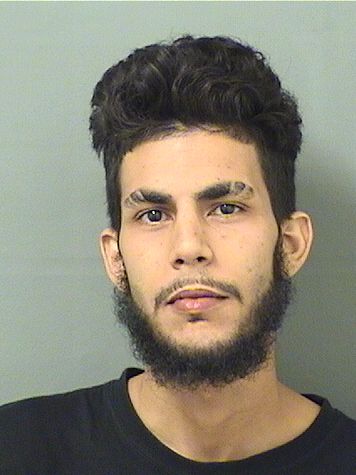  HANI BOUROUHEN Resultados de la busqueda para Palm Beach County Florida para  HANI BOUROUHEN