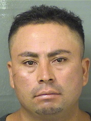  FERNANDO VELASQUEZREYES Resultados de la busqueda para Palm Beach County Florida para  FERNANDO VELASQUEZREYES