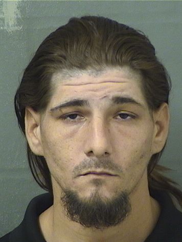  DARREN MICHAEL NEWMAN Results from Palm Beach County Florida for  DARREN MICHAEL NEWMAN