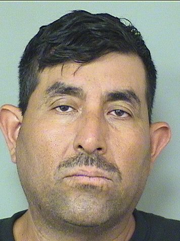  ROCAEL MORALES Results from Palm Beach County Florida for  ROCAEL MORALES