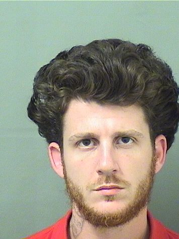  BRANDON JAMES REYNOLDS Results from Palm Beach County Florida for  BRANDON JAMES REYNOLDS