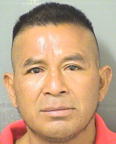  MARIO JIMENEZMALDONADO Resultados de la busqueda para Palm Beach County Florida para  MARIO JIMENEZMALDONADO