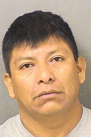 JOSE LORENZO Results from Palm Beach County Florida for JOSE LORENZO JOSE LORENZO Results from Palm Beach County Florida for JOSE LORENZO