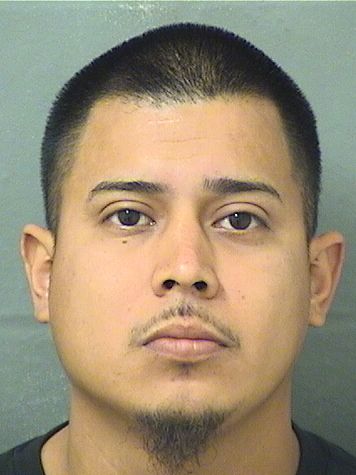ALFREDO MANUEL MOSQUEIDA Results from Palm Beach County Florida for ALFREDO MANUEL MOSQUEIDA ALFREDO MANUEL MOSQUEIDA Results from Palm Beach County Florida for ALFREDO MANUEL MOSQUEIDA