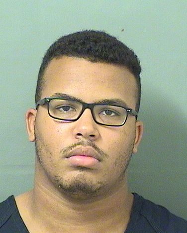  DEVAN JAMES LAWSON Results from Palm Beach County Florida for  DEVAN JAMES LAWSON