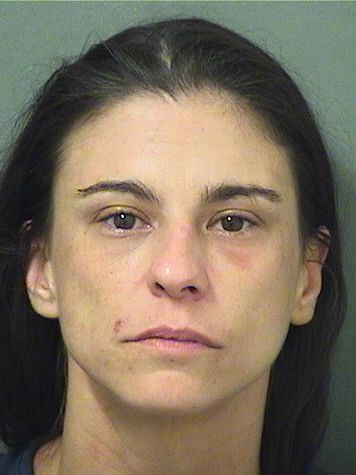  NICOLE KLEIN Results from Palm Beach County Florida for  NICOLE KLEIN