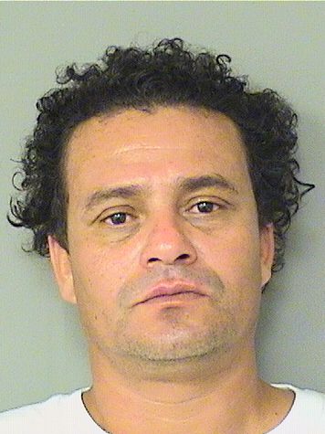  MAYNOR J GARCIA Results from Palm Beach County Florida for  MAYNOR J GARCIA