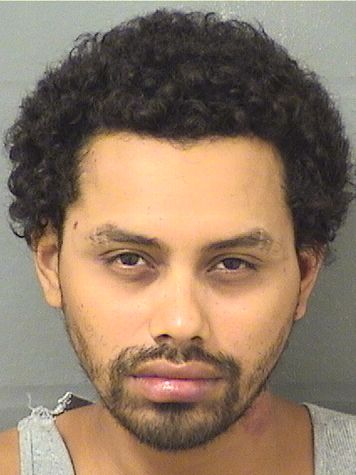  DENIS A RUIZALVARENGA Results from Palm Beach County Florida for  DENIS A RUIZALVARENGA