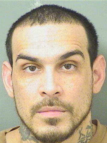  ERNESTO CEDILLO Results from Palm Beach County Florida for  ERNESTO CEDILLO