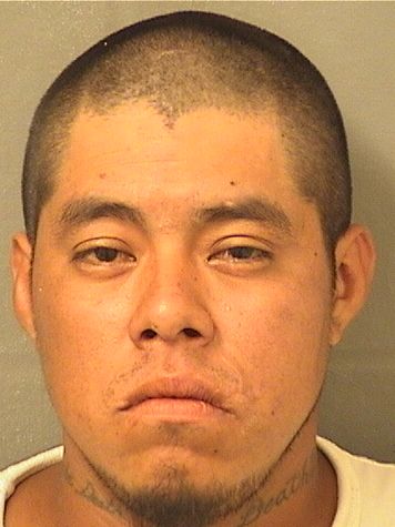  MARIO JUAN TOMASFRANCISCO Results from Palm Beach County Florida for  MARIO JUAN TOMASFRANCISCO