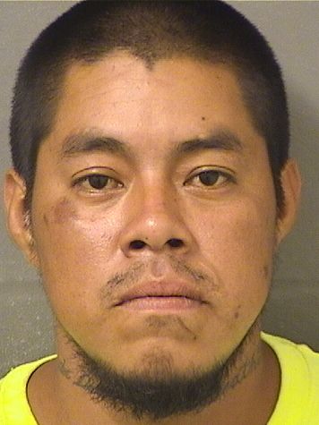  MARIO TOMASFRANCISCO Photo For  MARIO TOMASFRANCISCO