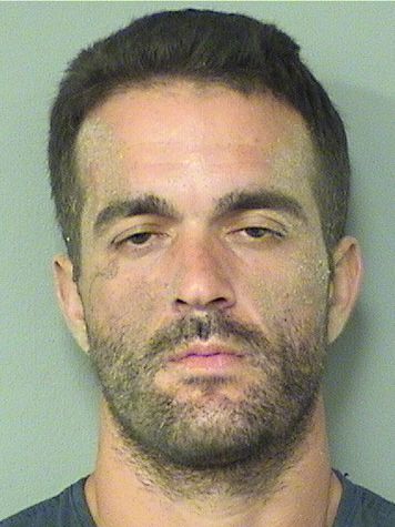  RONALD RICHARD PASSERELLI Results from Palm Beach County Florida for  RONALD RICHARD PASSERELLI