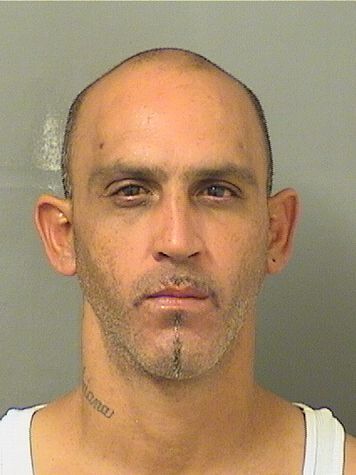  REYNALDO RODRIGUEZ QUINONES Results from Palm Beach County Florida for  REYNALDO RODRIGUEZ QUINONES