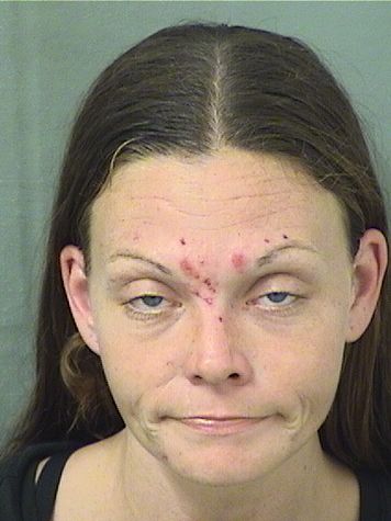  KATELYN G MURPHY Results from Palm Beach County Florida for  KATELYN G MURPHY